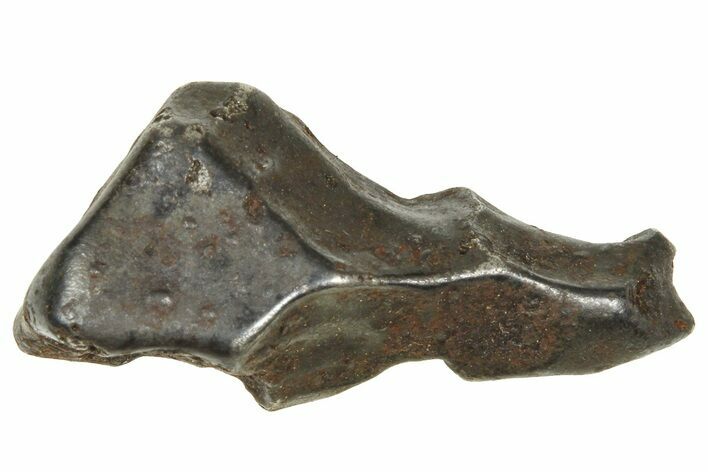 Fusion Crusted Sikhote-Alin Iron Meteorite ( g) - Russia #375329